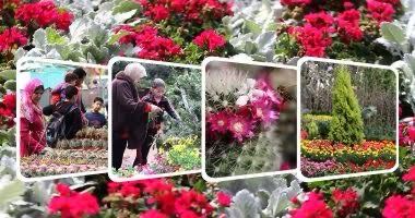 IMG 20250517 WA0006