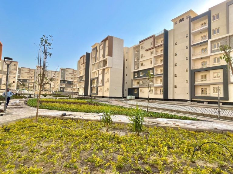 IMG 20251225 WA0007 1