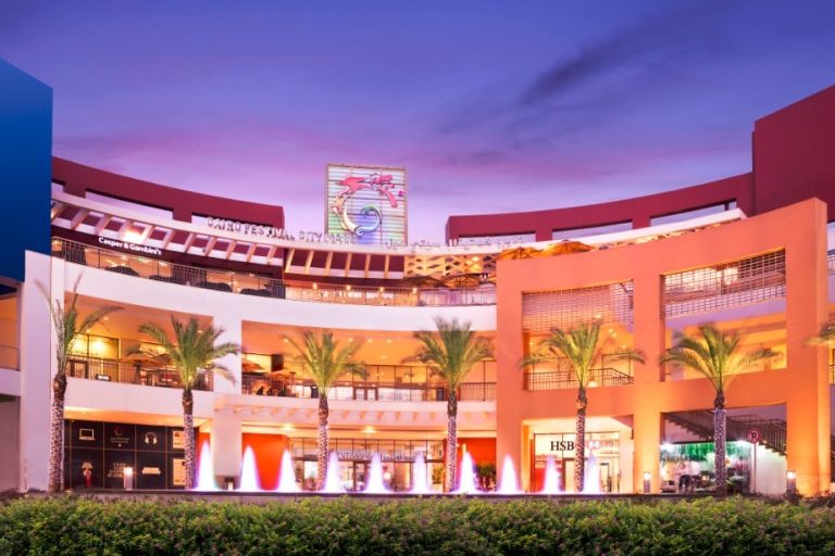 IMG 20260324 WA0146 1